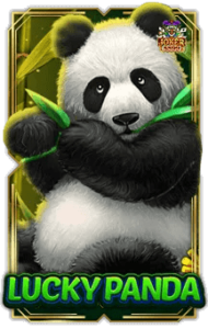 Lucky Panda 1