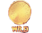 Wild Symbol รูปเหรียญทองคำ