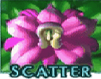 Scatter