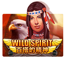 Wild Spirit 1