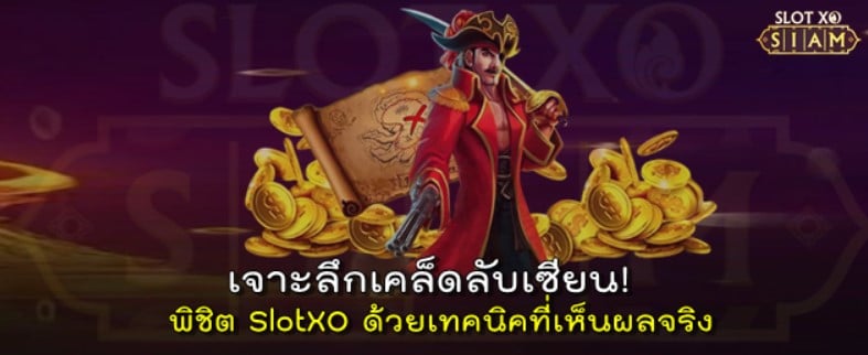 พิชิต-slotxo-ได้เงิน